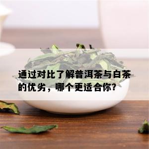 通过对比了解普洱茶与白茶的优劣，哪个更适合你？