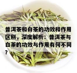 普洱茶和白茶的功效和作用区别，深度解析：普洱茶与白茶的功效与作用有何不同？