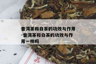 普洱茶和白茶的功效与作用-普洱茶和白茶的功效与作用一样吗