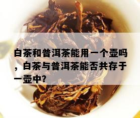 白茶和普洱茶能用一个壶吗，白茶与普洱茶能否共存于一壶中？