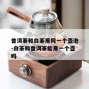 普洱茶和白茶用同一个壶泡-白茶和普洱茶能用一个壶吗