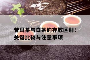 普洱茶与白茶的存放区别：关键比较与注意事项