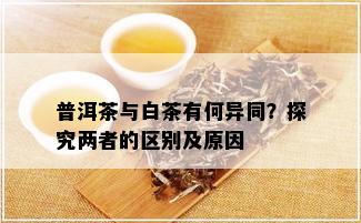 普洱茶与白茶有何异同？探究两者的区别及原因