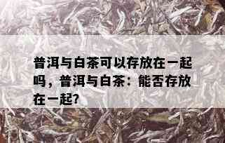 普洱与白茶可以存放在一起吗，普洱与白茶：能否存放在一起？