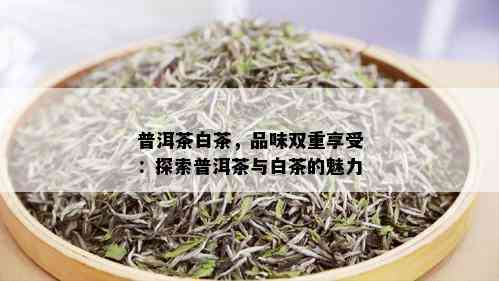 普洱茶白茶，品味双重享受：探索普洱茶与白茶的魅力