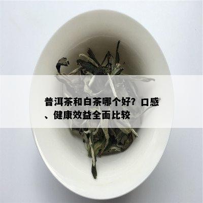 普洱茶和白茶哪个好？口感、健康效益全面比较