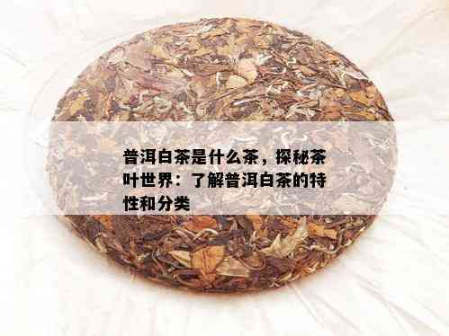 普洱白茶是什么茶，探秘茶叶世界：了解普洱白茶的特性和分类