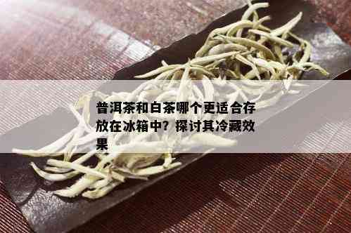 普洱茶和白茶哪个更适合存放在冰箱中？探讨其冷藏效果