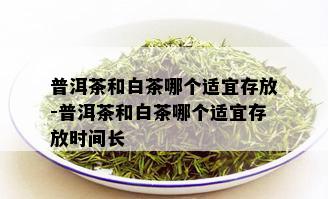 普洱茶和白茶哪个适宜存放-普洱茶和白茶哪个适宜存放时间长