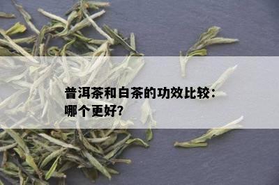 普洱茶和白茶的功效比较：哪个更好？