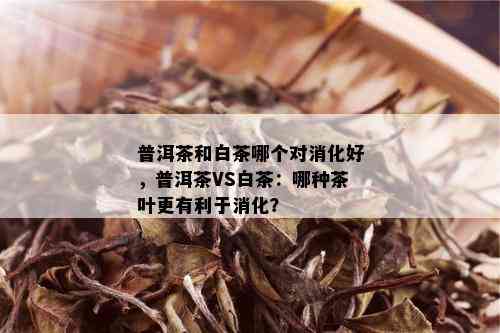 普洱茶和白茶哪个对消化好，普洱茶VS白茶：哪种茶叶更有利于消化？