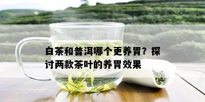 白茶和普洱哪个更养胃？探讨两款茶叶的养胃效果