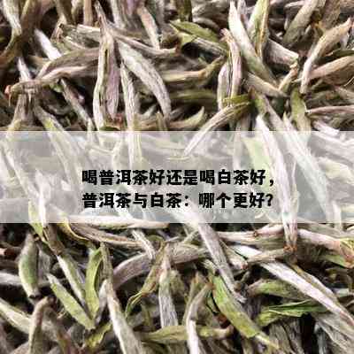 喝普洱茶好还是喝白茶好，普洱茶与白茶：哪个更好？