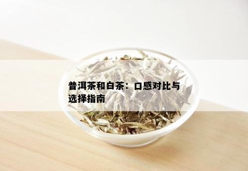 普洱茶和白茶：口感对比与选择指南