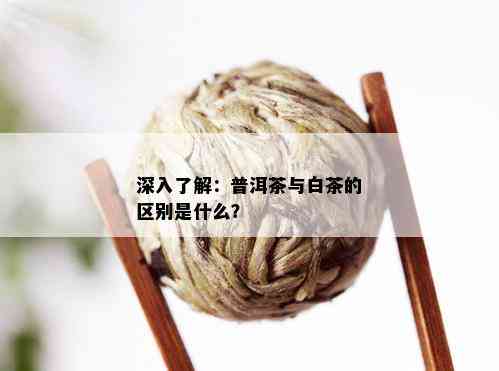 深入了解：普洱茶与白茶的区别是什么？