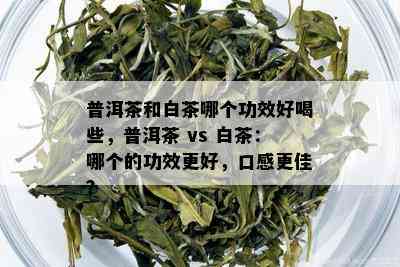 普洱茶和白茶哪个功效好喝些，普洱茶 vs 白茶：哪个的功效更好，口感更佳？