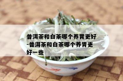 普洱茶和白茶哪个养胃更好-普洱茶和白茶哪个养胃更好一些