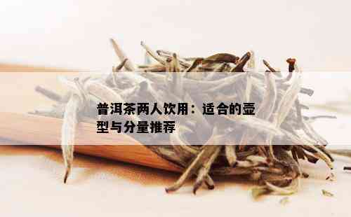 普洱茶两人饮用：适合的壶型与分量推荐