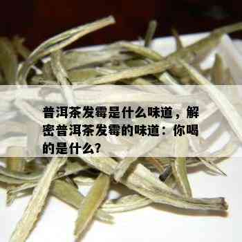 普洱茶发霉是什么味道，解密普洱茶发霉的味道：你喝的是什么？