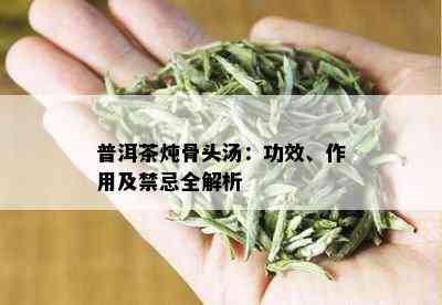 普洱茶炖骨头汤：功效、作用及禁忌全解析