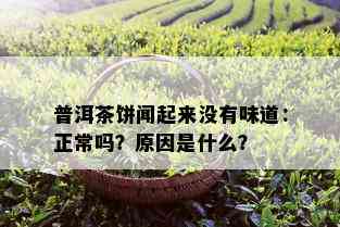 普洱茶饼闻起来没有味道：正常吗？原因是什么？