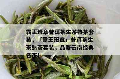 霸王班章普洱茶生茶熟茶套装，「霸王班章」普洱茶生茶熟茶套装，品鉴云南经典名茶！