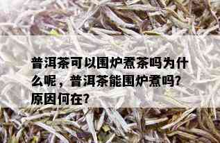 普洱茶可以围炉煮茶吗为什么呢，普洱茶能围炉煮吗？原因何在？