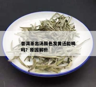 普洱茶出汤颜色发黄还能喝吗？原因解析