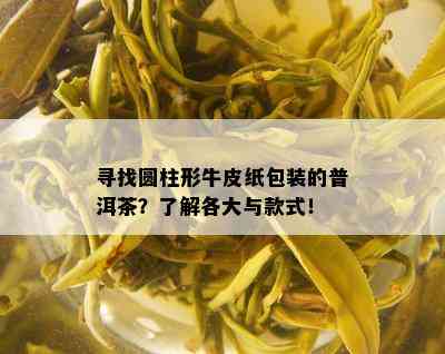 寻找圆柱形牛皮纸包装的普洱茶？了解各大与款式！