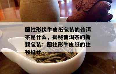 圆柱形状牛皮纸包装的普洱茶是什么，揭秘普洱茶的新颖包装：圆柱形牛皮纸的独特设计