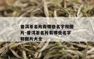 普洱茶名片有哪些名字和图片-普洱茶名片有哪些名字和图片大全