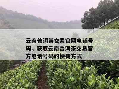 云南普洱茶交易官网电话号码，获取云南普洱茶交易官方电话号码的便捷方式