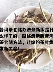 普洱茶仓储办法最新版是什么样子的，探秘最新版普洱茶仓储方法，让你的茶叶焕发新生命！