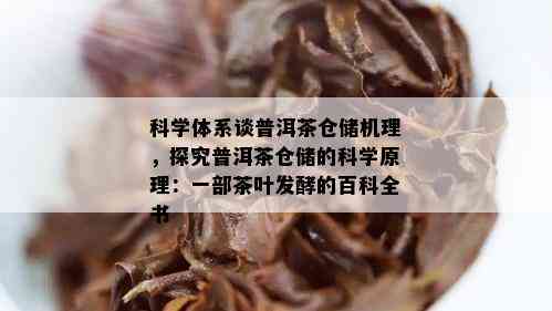 科学体系谈普洱茶仓储机理，探究普洱茶仓储的科学原理：一部茶叶发酵的百科全书