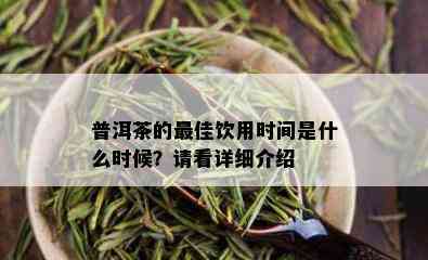 普洱茶的更佳饮用时间是什么时候？请看详细介绍