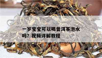 一岁宝宝可以喝普洱茶泡水吗？视频详解教程