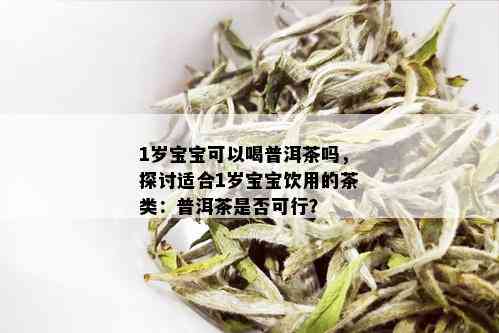 1岁宝宝可以喝普洱茶吗，探讨适合1岁宝宝饮用的茶类：普洱茶是否可行？