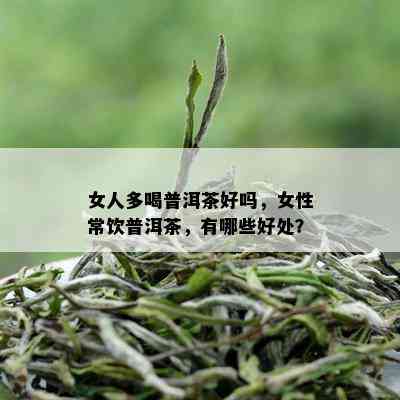 女人多喝普洱茶好吗，女性常饮普洱茶，有哪些好处？