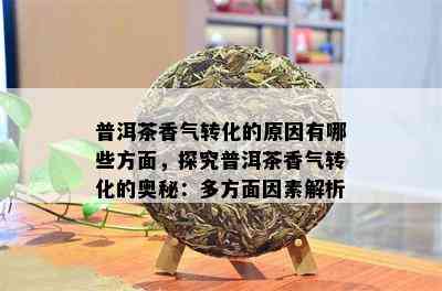 普洱茶香气转化的原因有哪些方面，探究普洱茶香气转化的奥秘：多方面因素解析