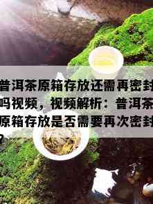 普洱茶原箱存放还需再密封吗视频，视频解析：普洱茶原箱存放是否需要再次密封？