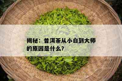 揭秘：普洱茶从小白到大师的原因是什么？