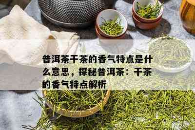 普洱茶干茶的香气特点是什么意思，探秘普洱茶：干茶的香气特点解析