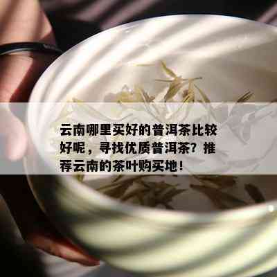 云南哪里买好的普洱茶比较好呢，寻找优质普洱茶？推荐云南的茶叶购买地！