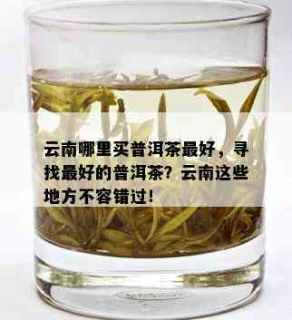 云南哪里买普洱茶更好，寻找更好的普洱茶？云南这些地方不容错过！