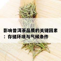 影响普洱茶品质的关键因素：存储环境与气候条件