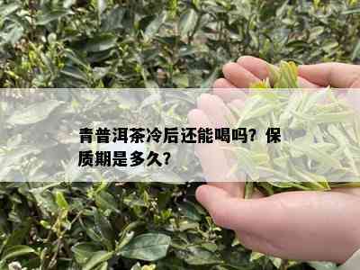 青普洱茶冷后还能喝吗？保质期是多久？