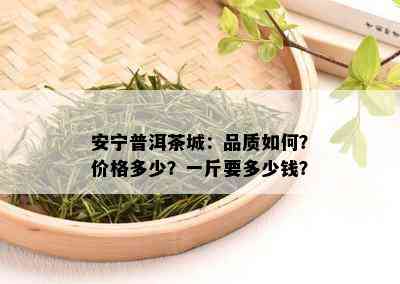 安宁普洱茶城：品质如何？价格多少？一斤要多少钱？