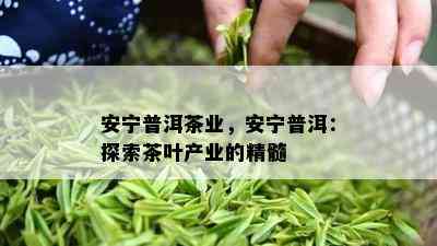 安宁普洱茶业，安宁普洱：探索茶叶产业的精髓