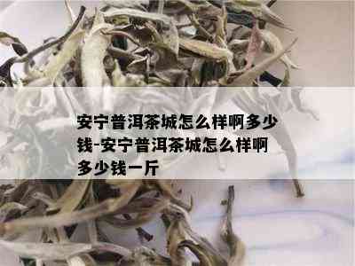 安宁普洱茶城怎么样啊多少钱-安宁普洱茶城怎么样啊多少钱一斤