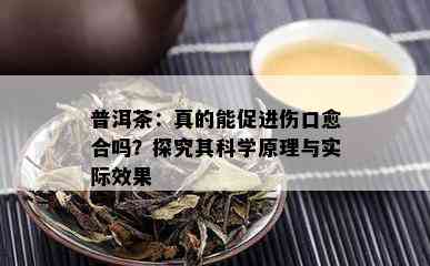 普洱茶：真的能促进伤口愈合吗？探究其科学原理与实际效果